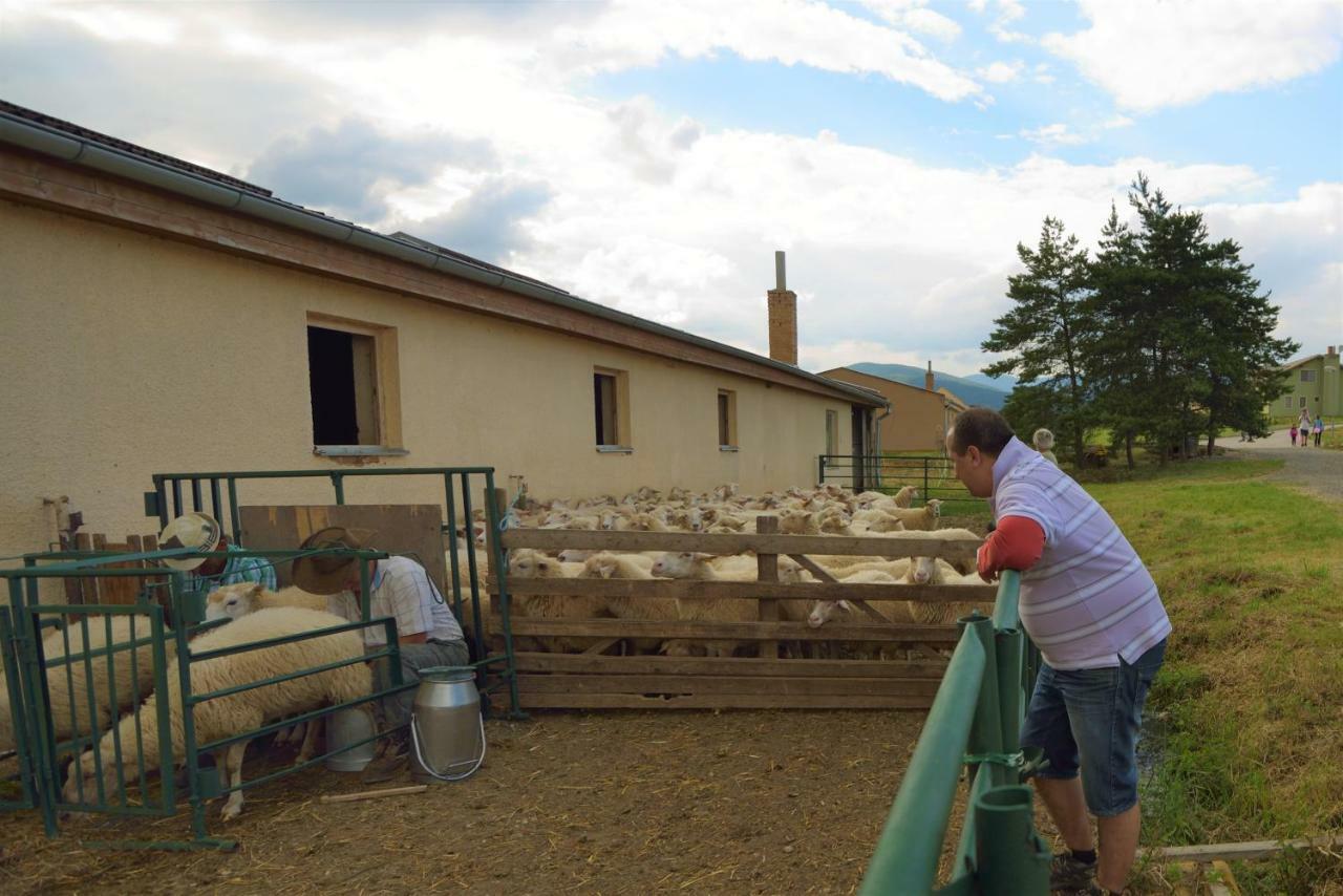 Bio Farma & Penzion Zlaty Hyl Novacany Bagian luar foto