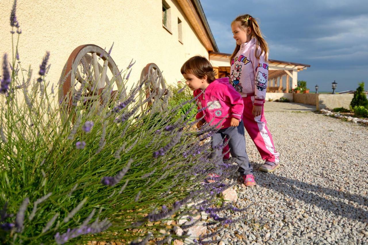 Bio Farma & Penzion Zlaty Hyl Novacany Bagian luar foto