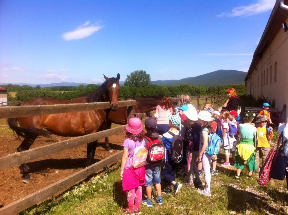Bio Farma & Penzion Zlaty Hyl Novacany Bagian luar foto