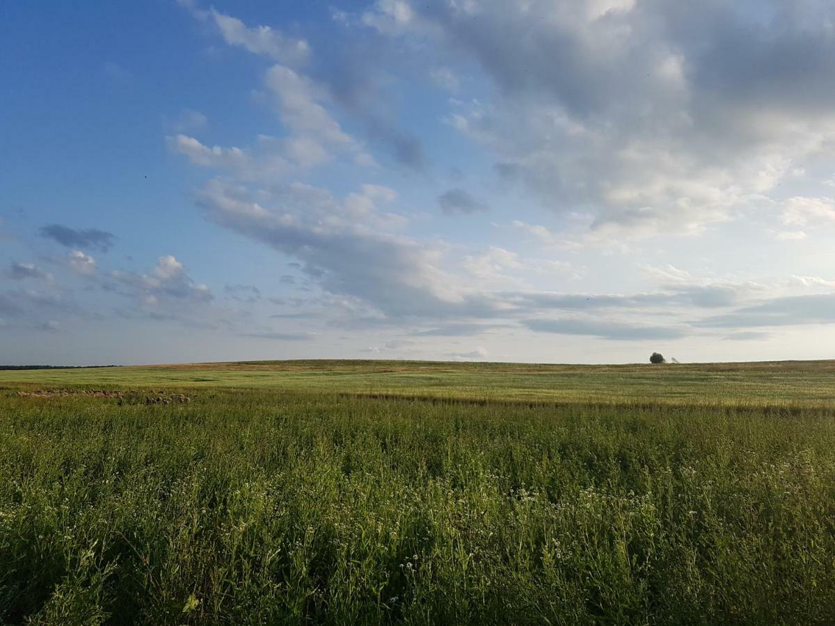 Bio Farma & Penzion Zlaty Hyl Novacany Bagian luar foto